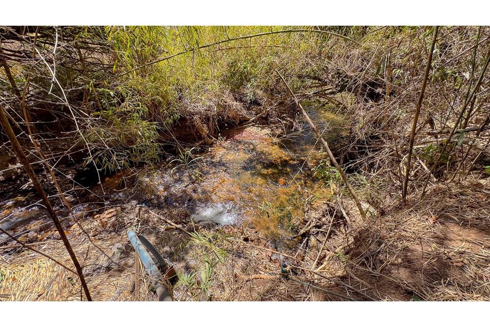 Chácara / Sítio / Fazenda - Venda - Planaltina , Distrito Federal - IMG_4009.jpg - 880221003-55