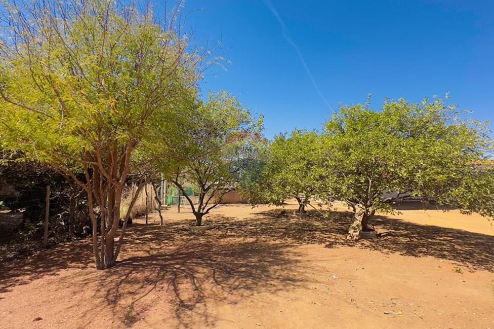 Chácara / Sítio / Fazenda - Venda - Sobradinho , Distrito Federal - IMG_8153.jpg - 880341174-3