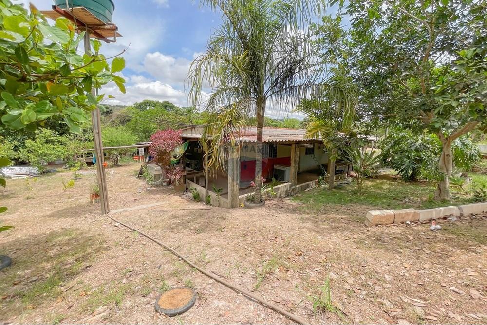 Chácara / Sítio / Fazenda - Venda - Riacho Fundo , Distrito Federal - IMG_1961.jpg - 880161051-22