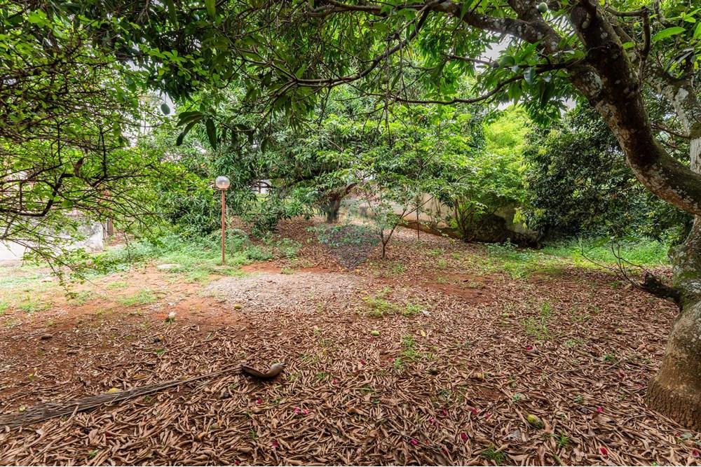 Casa - Venda - Brasília , Distrito Federal - DSC01992.jpg - 880461010-62