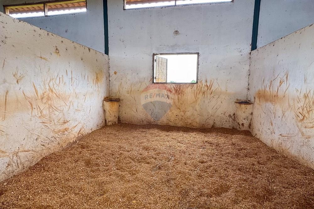 Chácara / Sítio / Fazenda - Venda - Sobradinho II , Distrito Federal - IMG_2680.jpg - 880111107-15