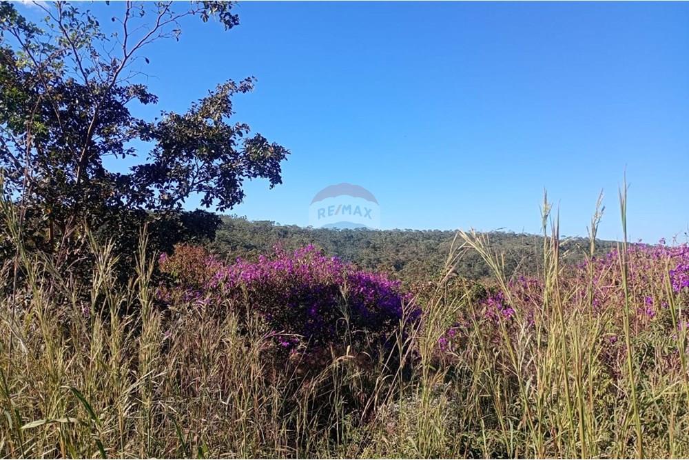 Chácara / Sítio / Fazenda - Venda - Água Fria de Goiás , Goiás - IMG-20250526-WA0012.jpg - 880231017-84