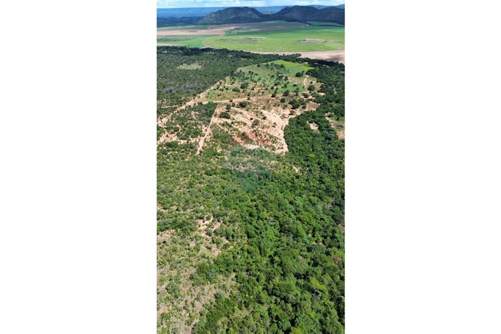 Chácara / Sítio / Fazenda - Venda - Arinos , Minas Gerais - IMG-20250420-WA0039.jpg - 880231174-6