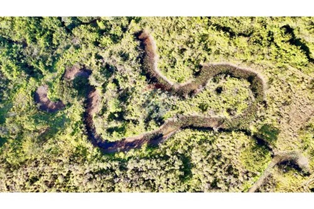 Chácara / Sítio / Fazenda - Venda - Brasília , Distrito Federal - L_0fd8e872-0587-4e53-8e38-d8547acc69f4.jpg - Churrasqueira - 880461004-43