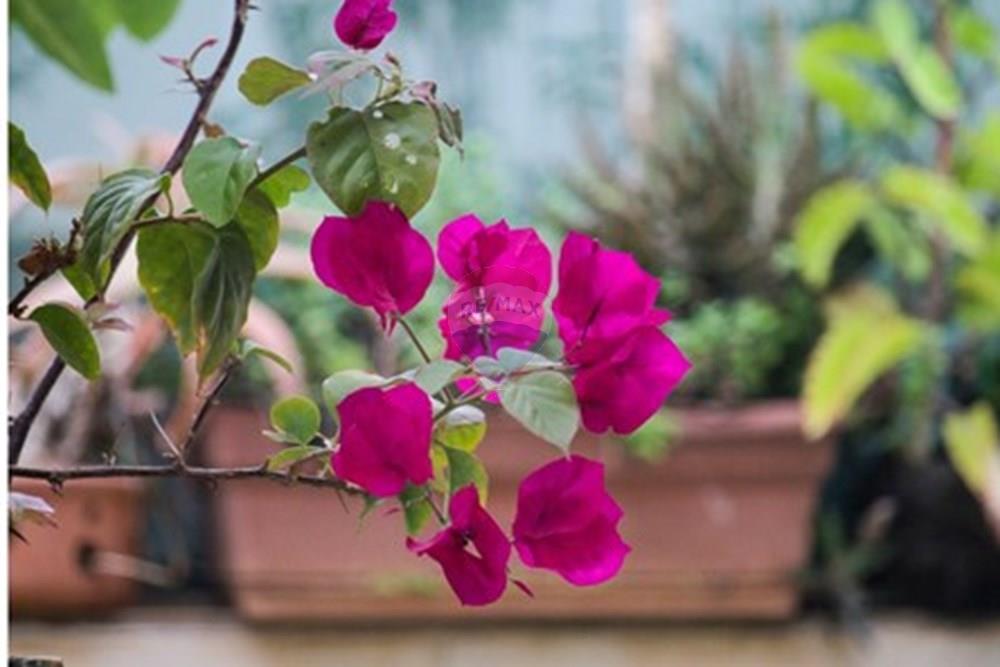 Cobertura - Venda - Brasília , Distrito Federal - Detalhe - 011.jpg - 880251001-46