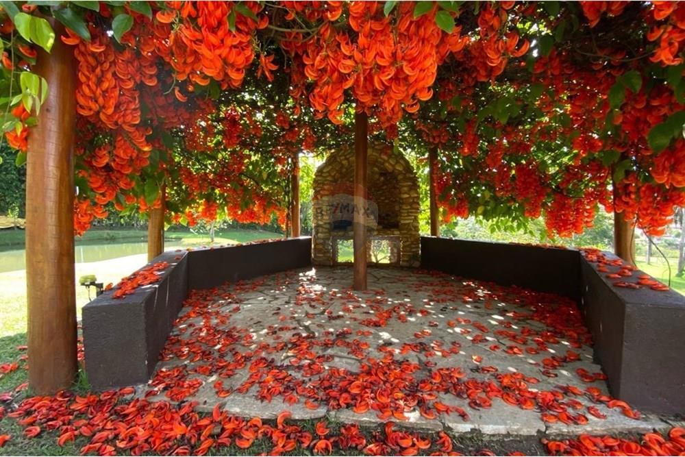 Casa - Venda - Sobradinho , Distrito Federal - a9baff14-cb17-493c-bb7f-6cefe4d3b400.jpeg - 880341045-87