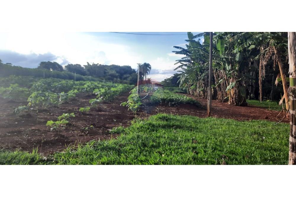 Chácara / Sítio / Fazenda - Venda - Paranoa , Distrito Federal - WhatsApp Image 2026-02-19 at 15.14.24.jpeg - 880341160-4