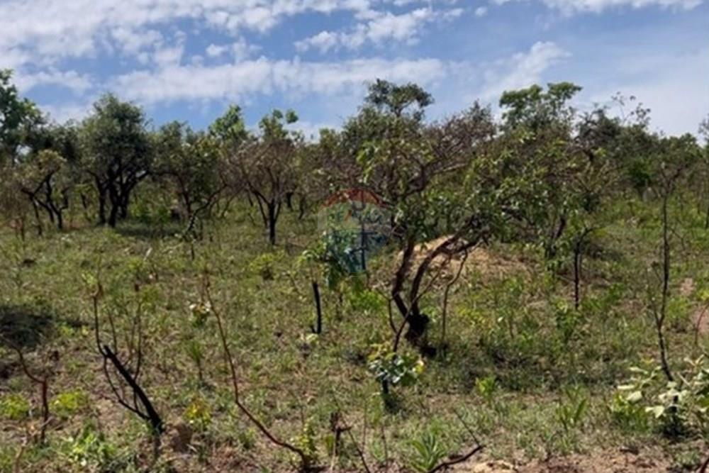 Chácara / Sítio / Fazenda - Venda - Luziânia , Goiás - WhatsApp Image 2025-12-01 at 15.21.27 (1).jpeg - 880111117-10