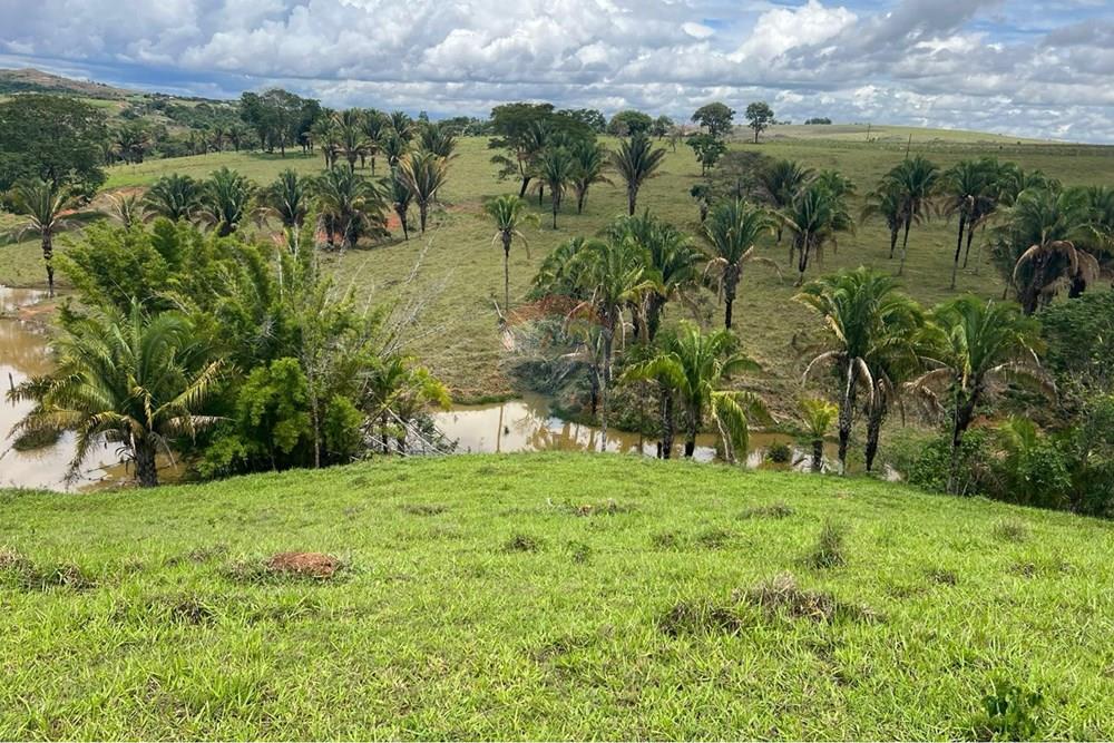 Chácara / Sítio / Fazenda - Venda - Cocalzinho de Goiás , Goiás - fazenda 2.jpeg - 880351098-3