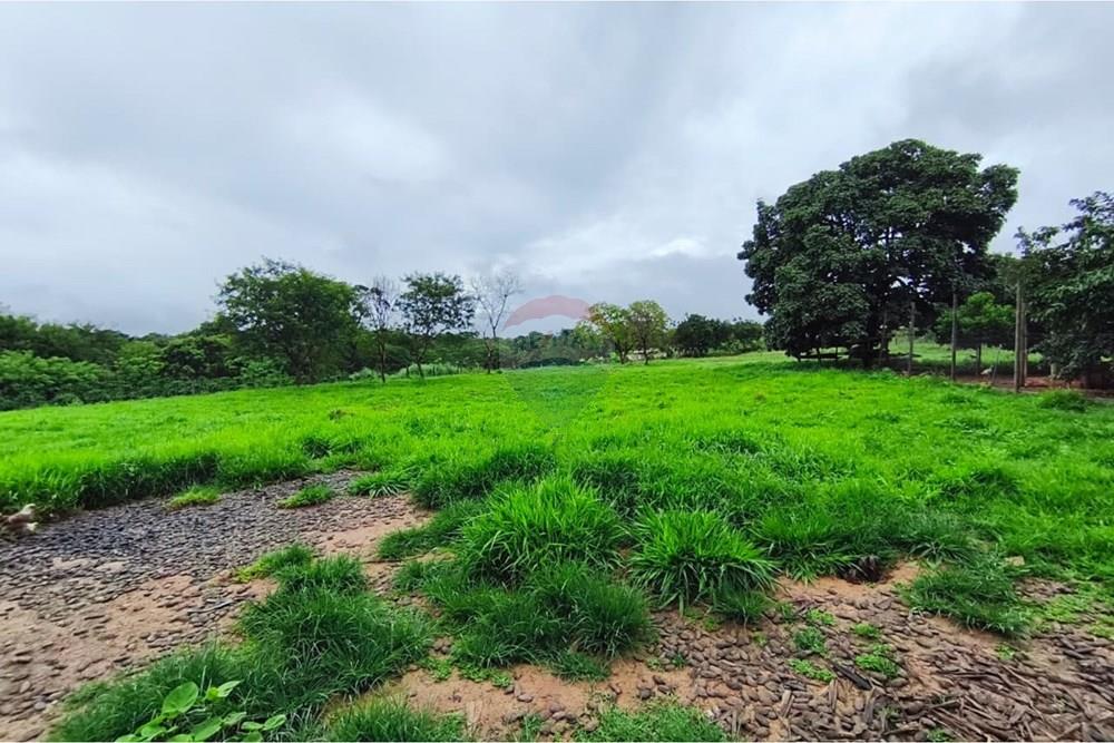 Chácara / Sítio / Fazenda - Venda - Formosa , Goiás - WhatsApp Image 2026-01-28 at 12.04.51 (4).jpeg - 880231017-86