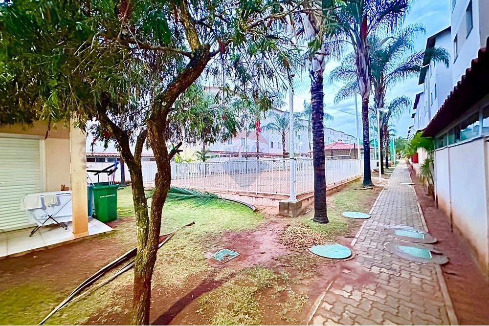 Apartamento - Venda - Santa Maria , Distrito Federal - IMG_5580.jpeg - 880341045-76