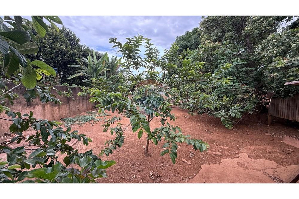 Galpão - Alugar - Ceilandia , Distrito Federal - WhatsApp Image 2025-11-18 at 16.08.20.jpeg - 880321030-51