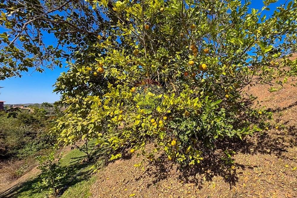 Casa de Condomínio - Venda - Alexânia , Goiás - IMG_6460.jpg - 880111105-7