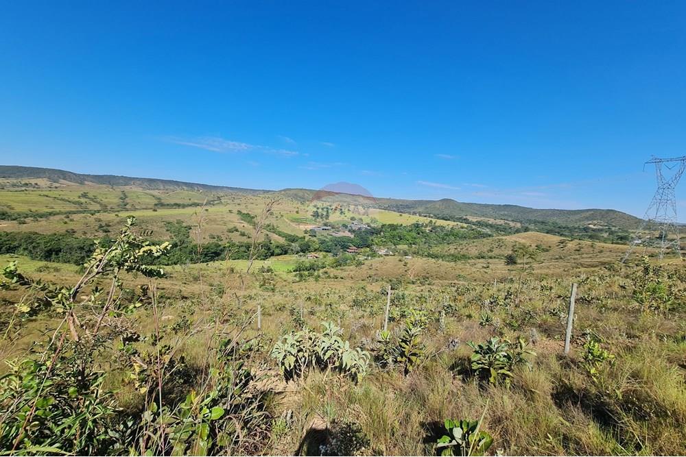 Chácara / Sítio / Fazenda - Venda - Brasília , Distrito Federal - 20250524_095936.jpg - 880321021-70