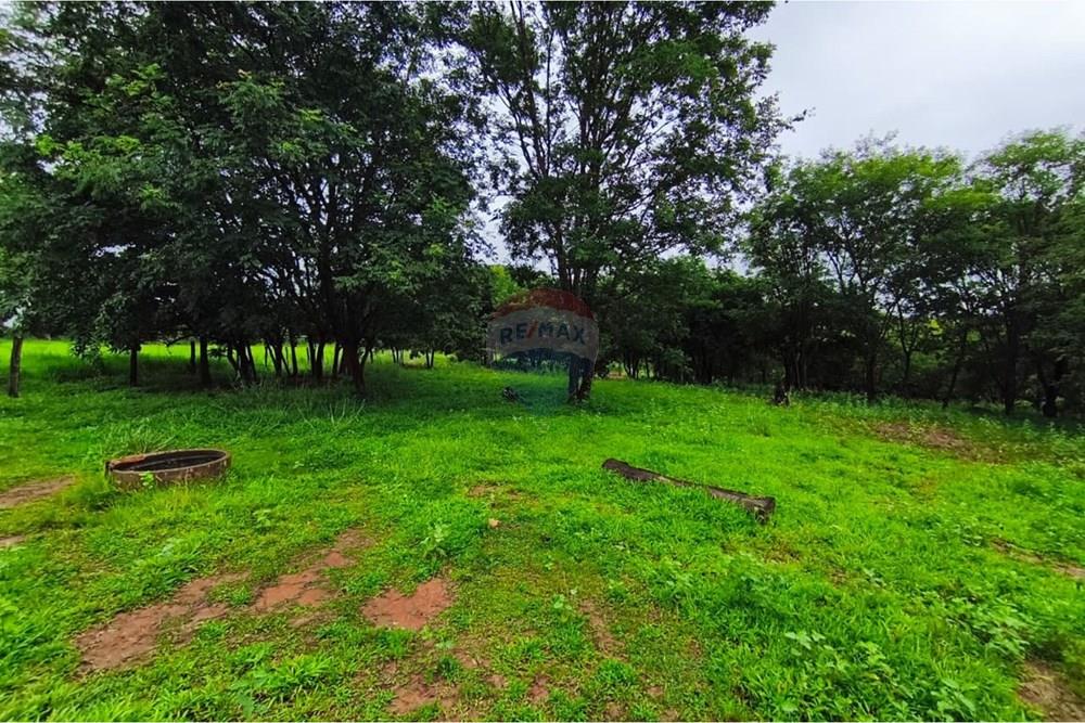 Chácara / Sítio / Fazenda - Venda - Formosa , Goiás - WhatsApp Image 2026-01-28 at 12.04.51.jpeg - 880231017-86