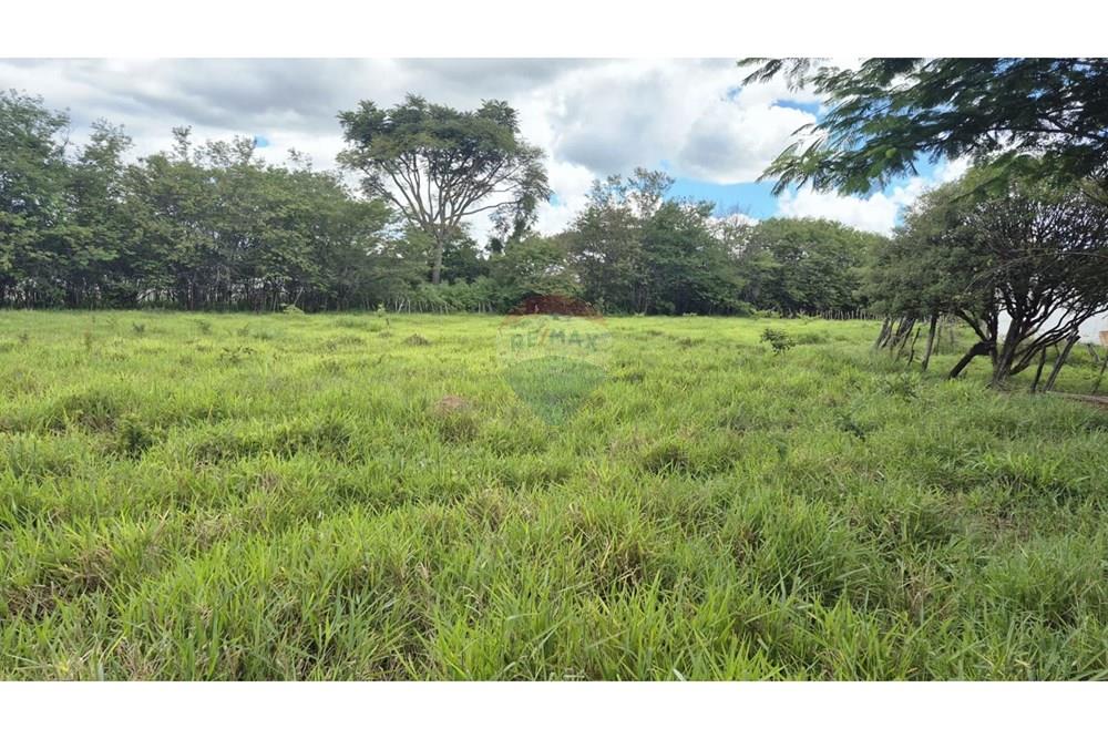 Chácara / Sítio / Fazenda - Venda - Sobradinho , Distrito Federal - WhatsApp Image 2026-03-23 at 15.10.18 (2).jpeg - 880431021-2