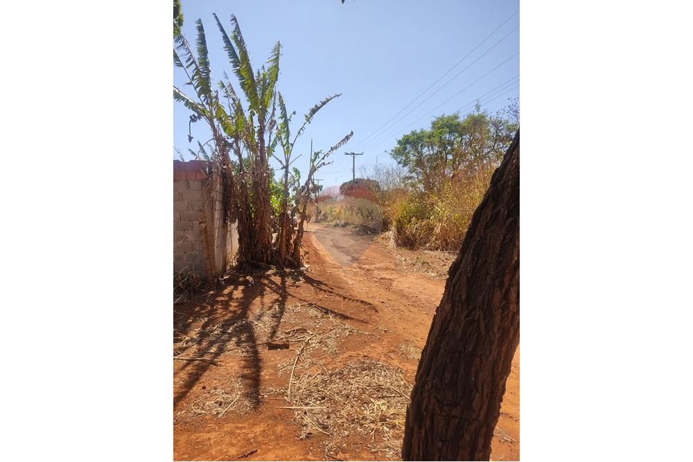 Terreno - Venda - Gama , Distrito Federal - rua lateral 01.jpg - 880201061-3