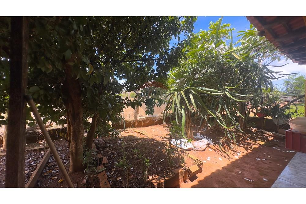 Chácara / Sítio / Fazenda - Venda - Cocalzinho de Goiás , Goiás - IMG_3400.jpg - 880341129-15