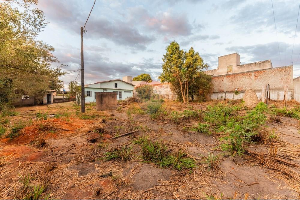 Terreno - Venda - Vicente Pires , Distrito Federal - DSC03059.jpg - 880241010-47
