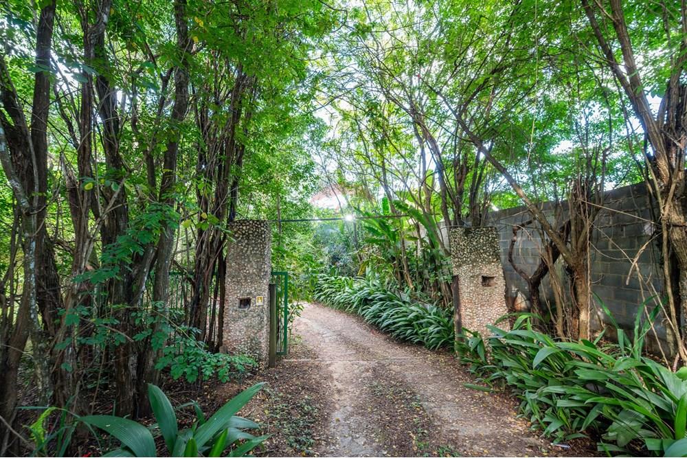 Chácara / Sítio / Fazenda - Venda - Brasília , Distrito Federal - DSC09169-Aprimorado-NR.jpg - 880461009-32