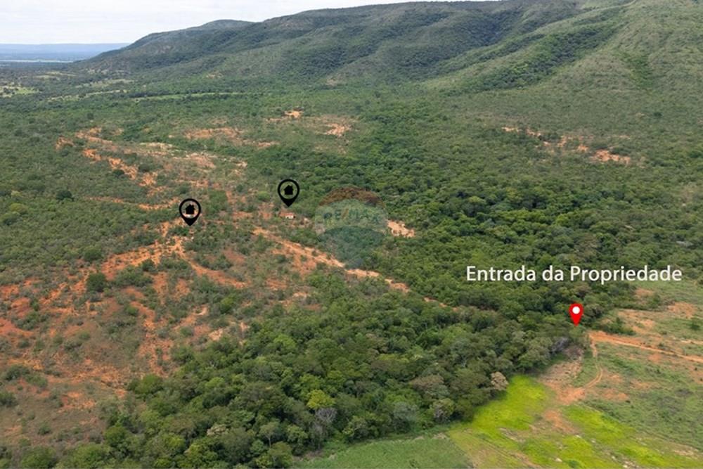 Chácara / Sítio / Fazenda - Venda - Buritis , Minas Gerais - DJI_20260201114629_0173_D.jpg - 880461004-155