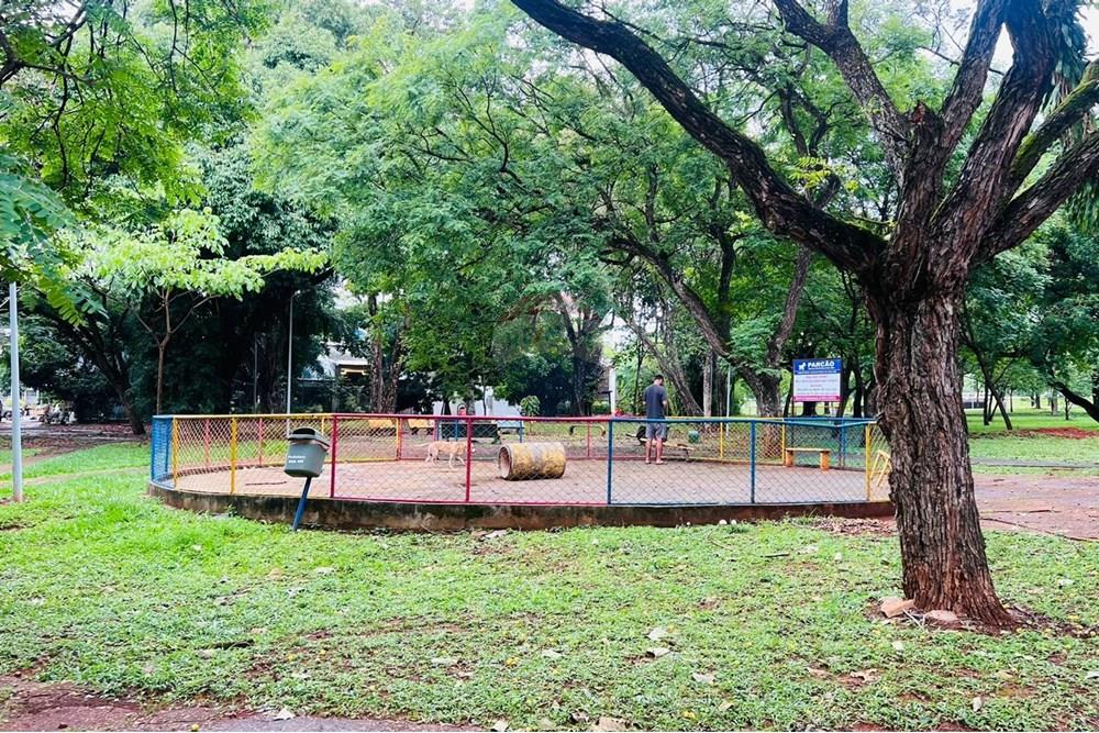 Apartamento - Venda - Brasília , Distrito Federal - WhatsApp Image 2025-12-08 at 16.21.58.jpeg - 880341018-201