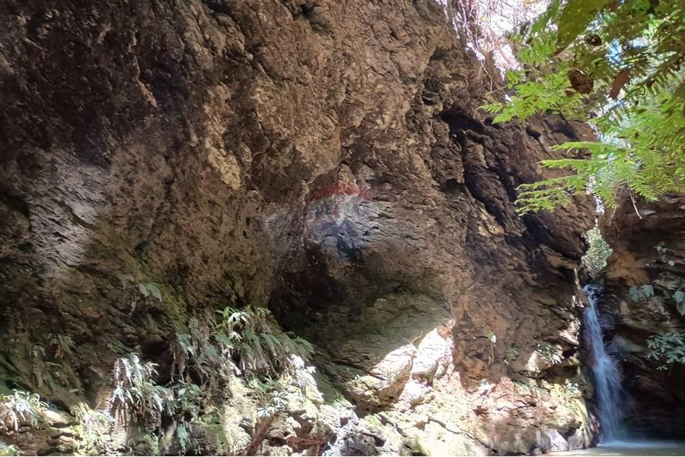 Chácara / Sítio / Fazenda - Venda - Luziânia , Goiás - Imagem do WhatsApp de 2025-06-26 à(s) 23.13.22_103b7133.jpg - 880231017-81