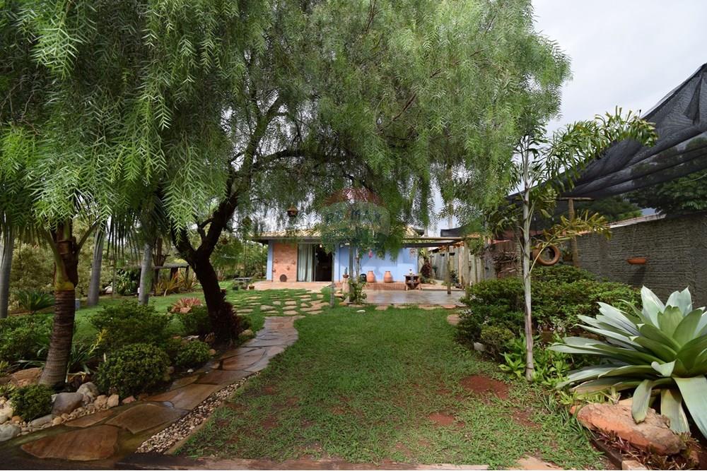 Casa - Alugar - Brasília , Distrito Federal - Jardim - árvores frutíferas - 16.JPG - 880151004-218