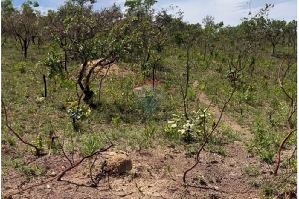 Chácara / Sítio / Fazenda - Venda - Luziânia , Goiás - WhatsApp Image 2025-12-01 at 15.21.26.jpeg - 880111117-10