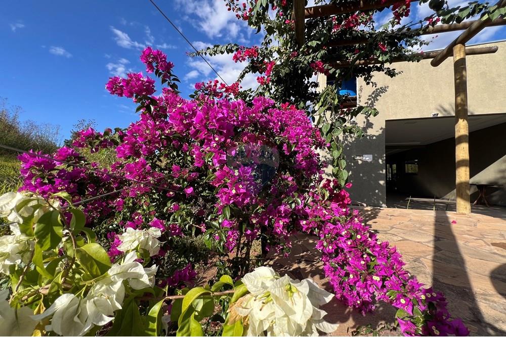 Chácara / Sítio / Fazenda - Venda - Brazlandia , Distrito Federal - IMG_7080.JPG - 880351001-191