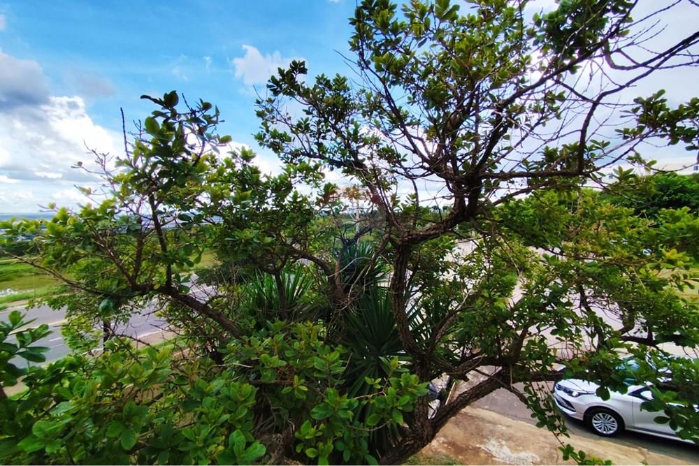 Casa - Venda - Brasília , Distrito Federal - WhatsApp Image 2026-01-29 at 15.51.22.jpeg - 880341024-147