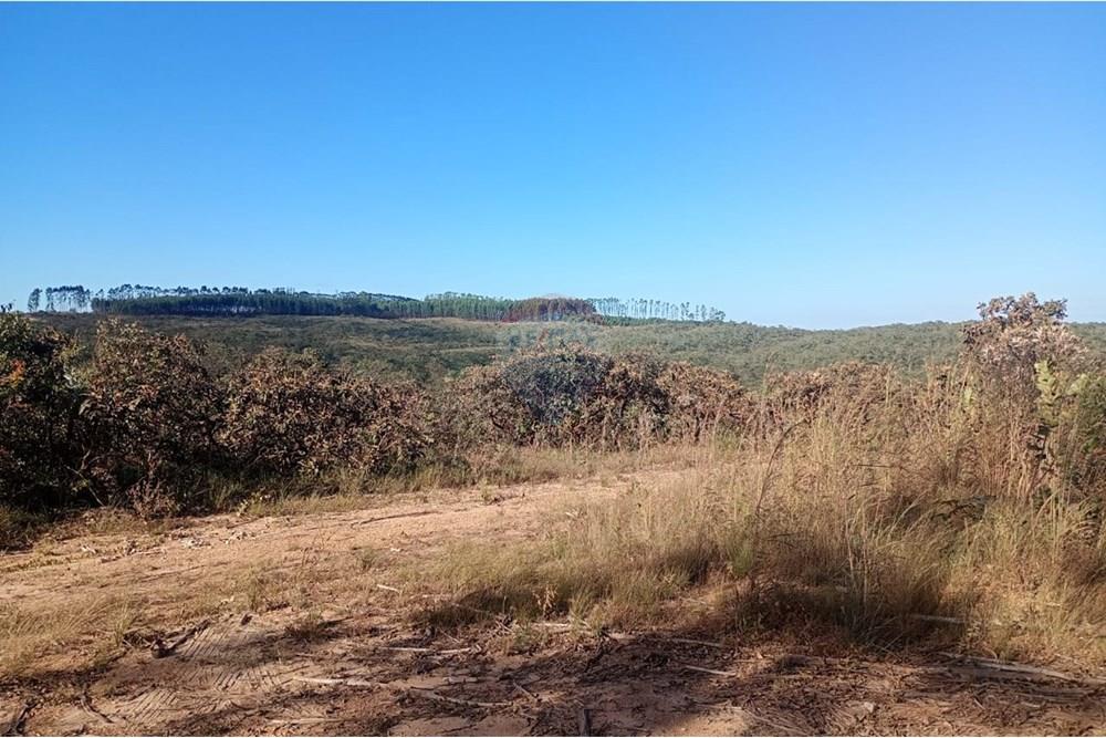 Chácara / Sítio / Fazenda - Venda - Água Fria de Goiás , Goiás - IMG-20250526-WA0015 (1).jpg - 880231017-84