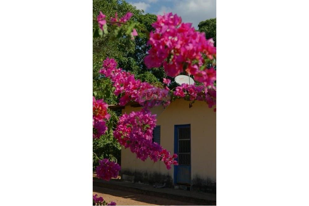 Chácara / Sítio / Fazenda - Venda - Unaí , Minas Gerais - WhatsApp Image 2025-02-26 at 08.09.34 (3).jpeg - Jardim Externo - 880261133-87