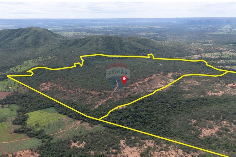 Chácara / Sítio / Fazenda - Venda - Buritis , Minas Gerais - DJI_20260201113609_0156_D.jpg - 880461004-155