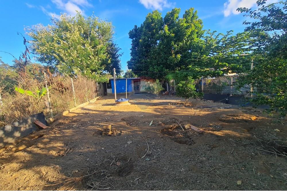 Chácara / Sítio / Fazenda - Venda - Brasília , Distrito Federal - 1003078390.jpg - 880321021-71