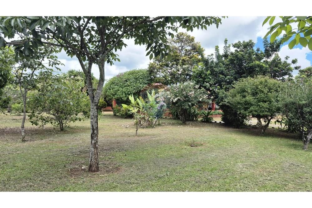 Chácara / Sítio / Fazenda - Venda - Sobradinho , Distrito Federal - WhatsApp Image 2026-03-23 at 15.10.11 (1).jpeg - 880431021-2