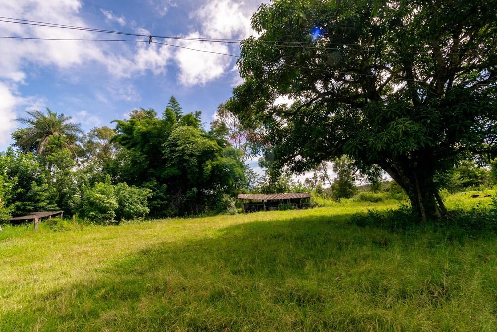 Chácara / Sítio / Fazenda - Venda - Planaltina , Distrito Federal - DSC_6641.jpg - 880341026-72
