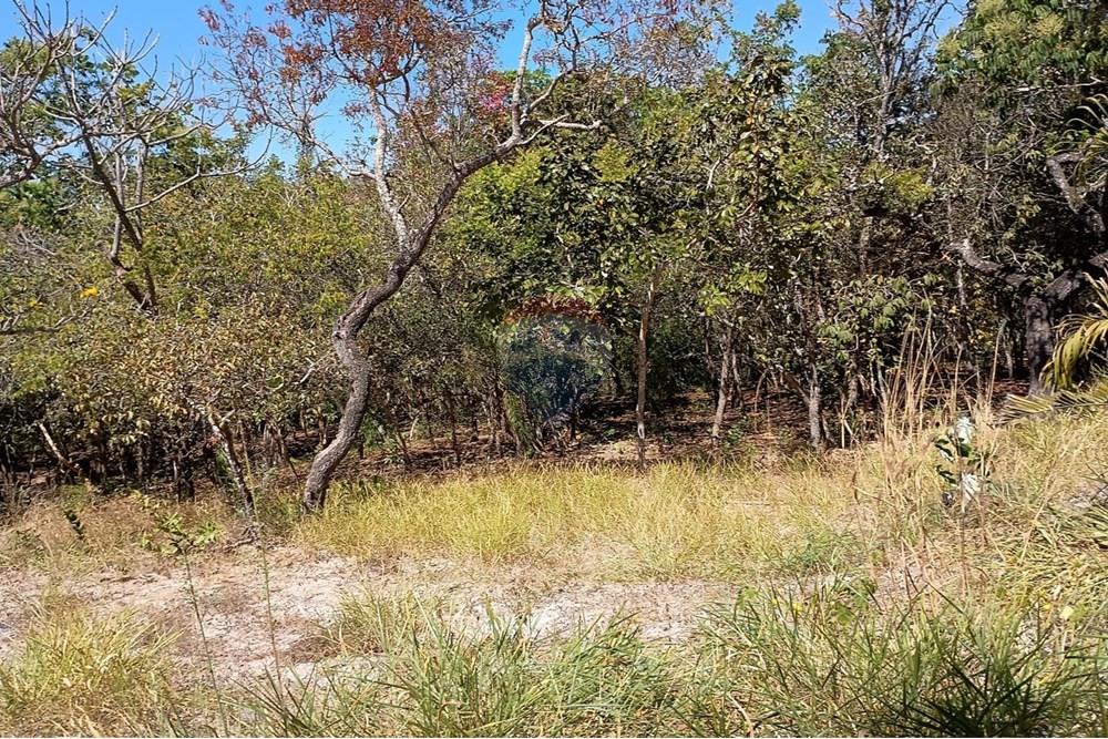 Chácara / Sítio / Fazenda - Venda - Luziânia , Goiás - Imagem do WhatsApp de 2025-06-26 à(s) 23.13.03_a4006970.jpg - 880231017-81