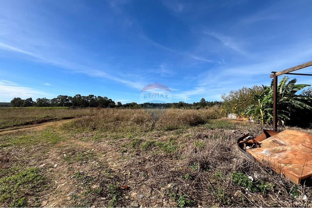 Galpão - Venda - Brazlandia , Distrito Federal - IMG_3882.jpeg - 880351001-192