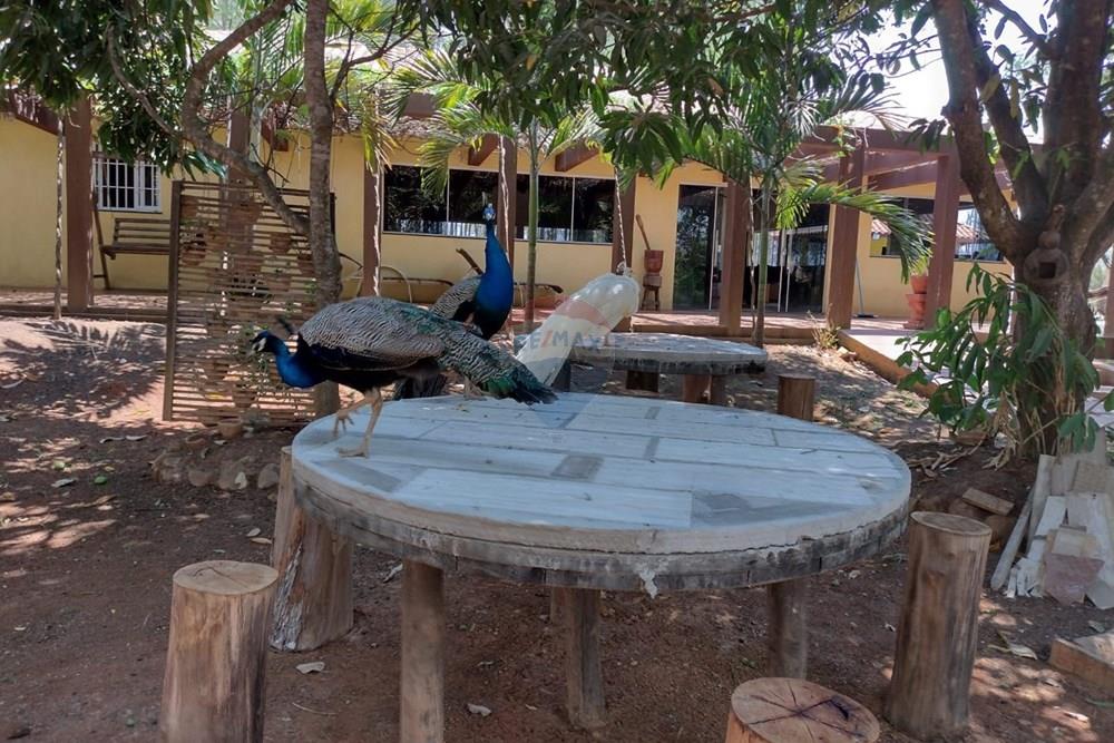 Chácara / Sítio / Fazenda - Venda - Formosa , Goiás - WhatsApp Image 2026-02-02 at 14.26.55.jpeg - 880231017-86