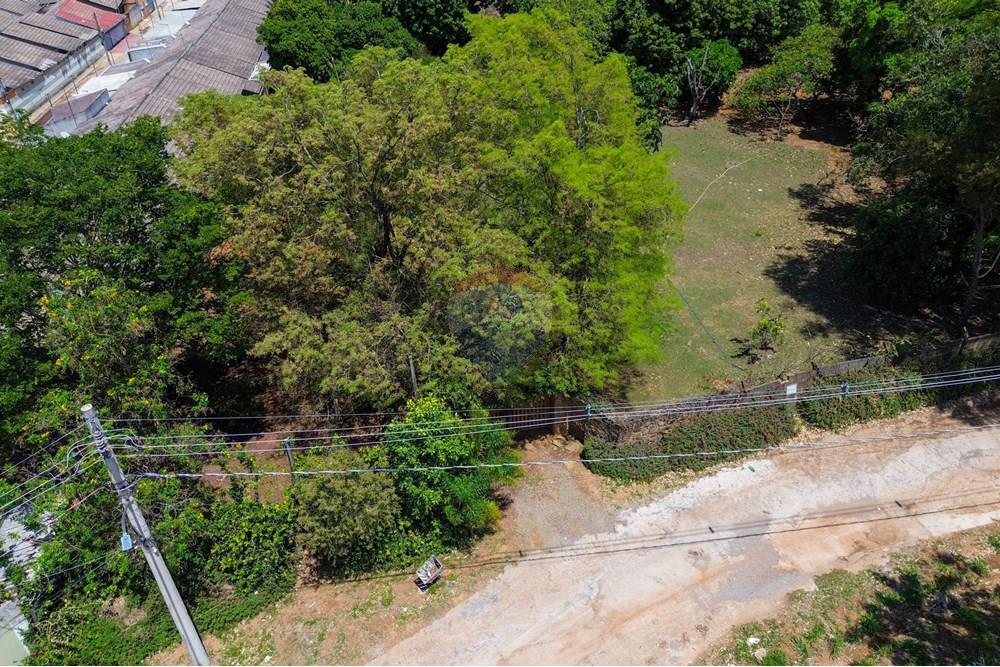 Chácara / Sítio / Fazenda - Venda - Cidade Ocidental , Goiás - DJI_0694.jpg - 880321021-99