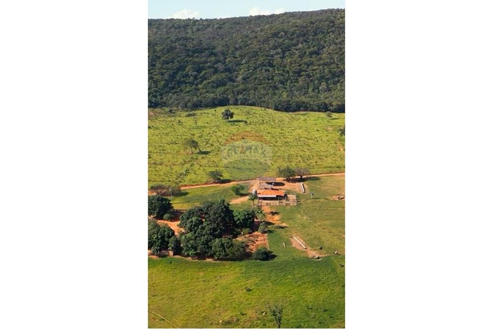 Chácara / Sítio / Fazenda - Venda - Unaí , Minas Gerais - WhatsApp Image 2025-02-26 at 08.09.33.jpeg - Jardim Externo - 880261133-87