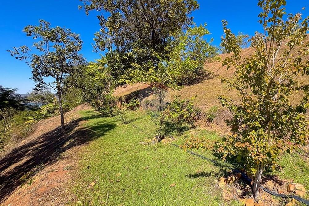 Casa de Condomínio - Venda - Alexânia , Goiás - IMG_6458.jpg - 880111105-7