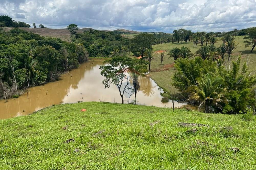 Chácara / Sítio / Fazenda - Venda - Cocalzinho de Goiás , Goiás - fazenda 8.jpeg - 880351098-3