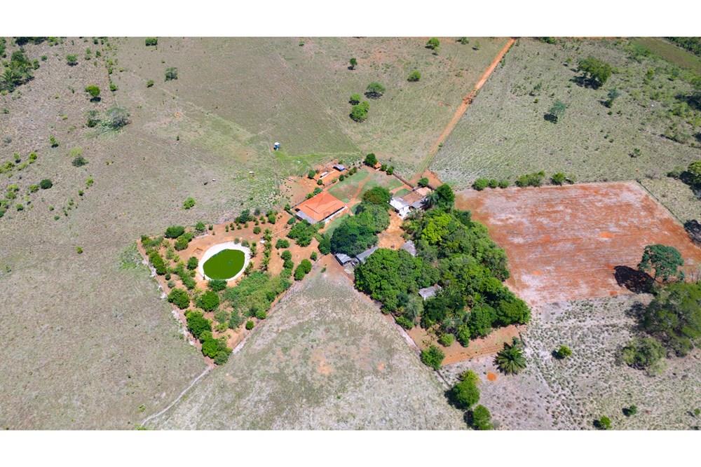 Chácara / Sítio / Fazenda - Venda - Cocalzinho de Goiás , Goiás - DJI_20251105101623_0055_D.jpg - 880341129-15