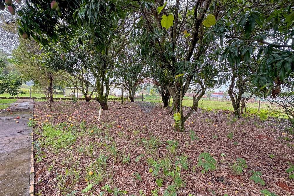 Chácara / Sítio / Fazenda - Venda - Sobradinho , Distrito Federal - IMG_5659.jpg - 880111107-7