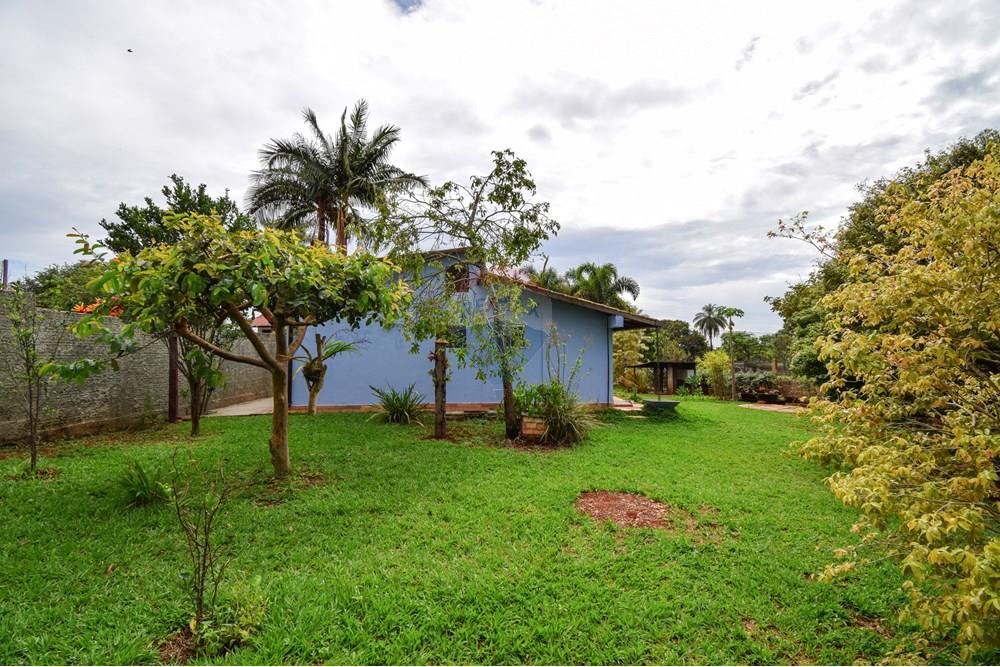 Casa - Alugar - Brasília , Distrito Federal - Jardim - árvores frutíferas - 5.JPG - 880151004-218