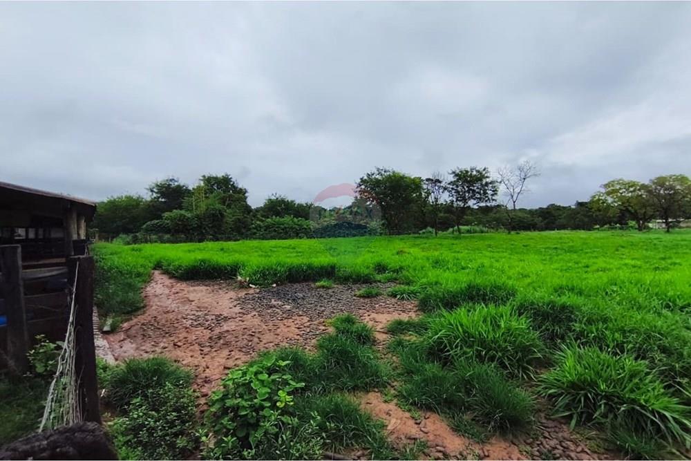 Chácara / Sítio / Fazenda - Venda - Formosa , Goiás - WhatsApp Image 2026-01-28 at 12.04.51 (3).jpeg - 880231017-86