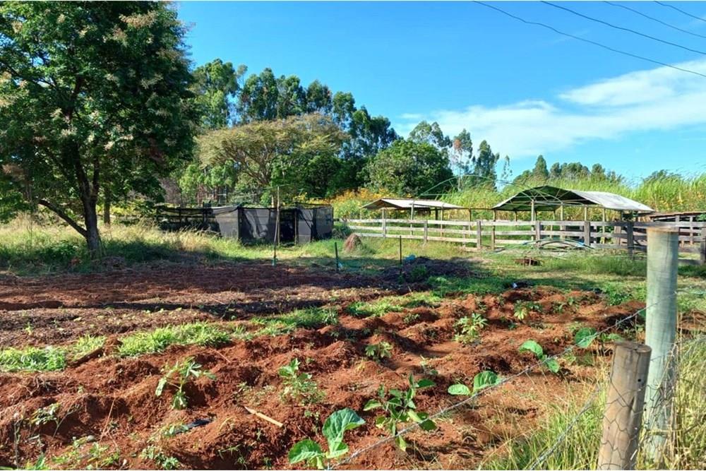 Chácara / Sítio / Fazenda - Venda - Sobradinho , Distrito Federal - WhatsApp Image 2025-05-06 at 09.45.04 (3).jpeg - 880411017-27