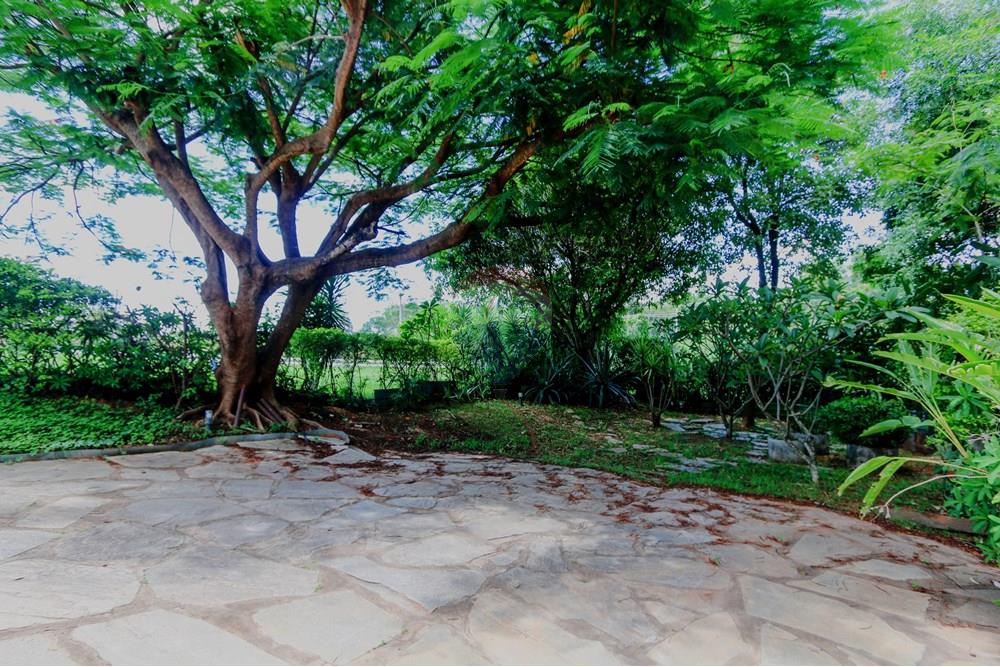 Apartamento - Venda - Brasília , Distrito Federal - Quintal - 002.jpg - 880221014-136